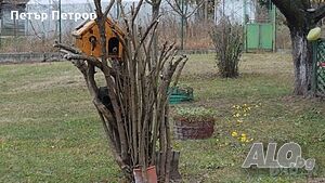 image_10