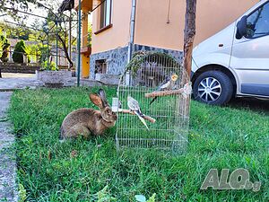 image_8