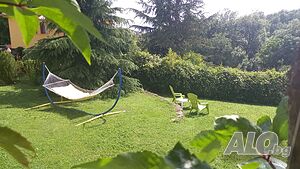 image_21
