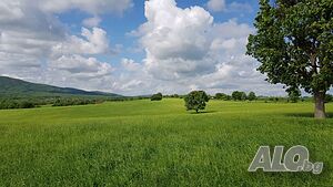 image_30