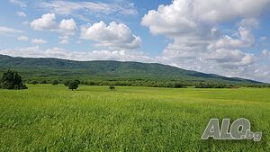 image_33