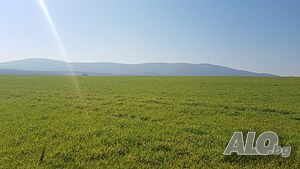 image_34