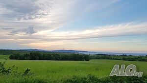 image_36
