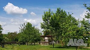 image_40