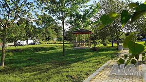 image_42