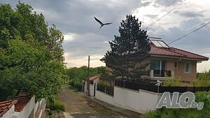 image_51