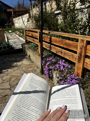 image_13