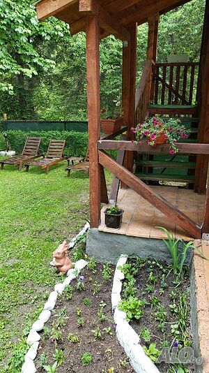 image_37
