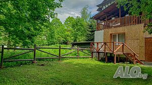 image_41