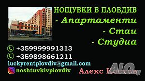 image_19