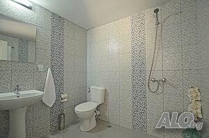 image_27