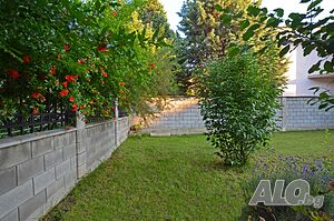 image_33