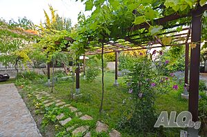 image_38
