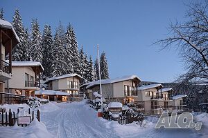 image_12