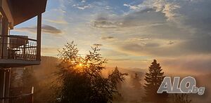 image_11