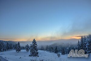 image_21