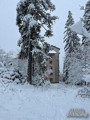 нощувки Pamporovo View