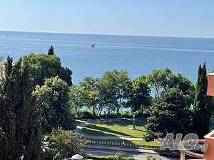 image_12