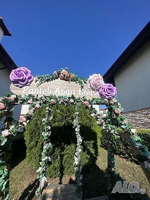 image_46
