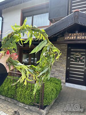image_52