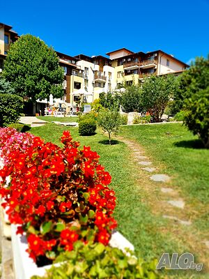 image_40