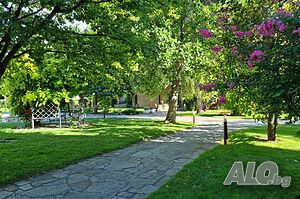 image_38