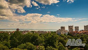 image_41