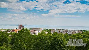 image_43