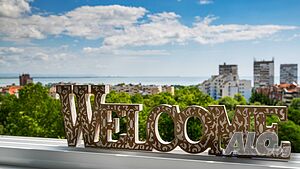 image_44