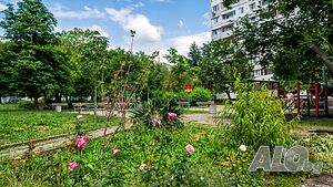 image_45