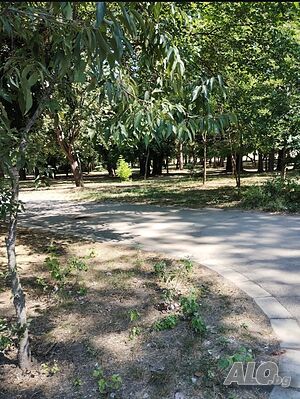image_25