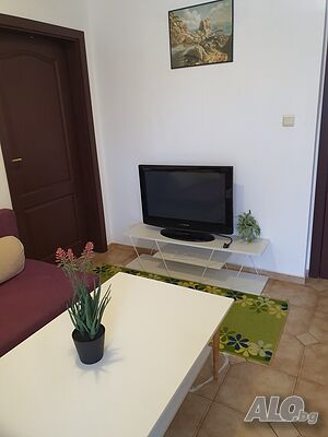 image_11