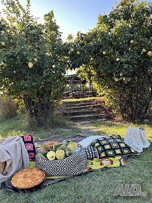 image_25