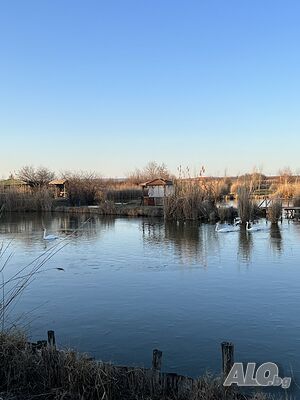 image_31