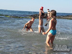 image_7
