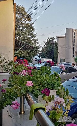 image_15