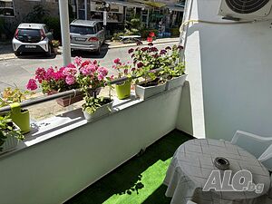image_19