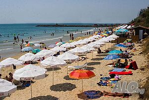 image_5