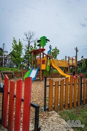 image_24