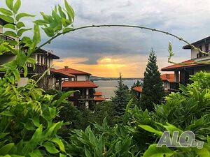 image_43