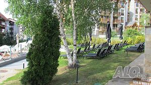 image_25