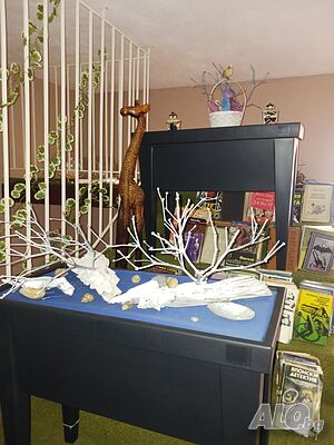 image_43