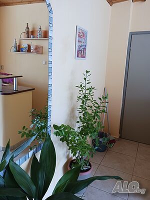image_45