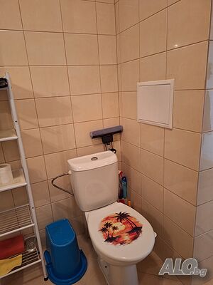 image_11