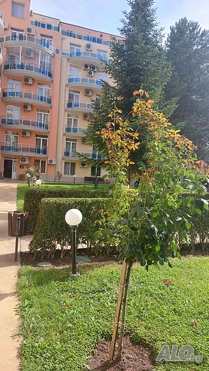 image_12