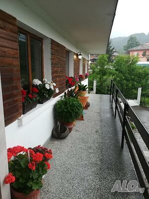 image_38