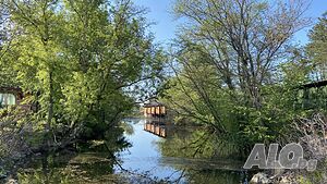 image_16