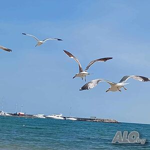 image_9