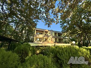 image_23