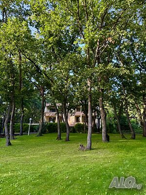 image_24